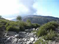 Korsika Bild 155